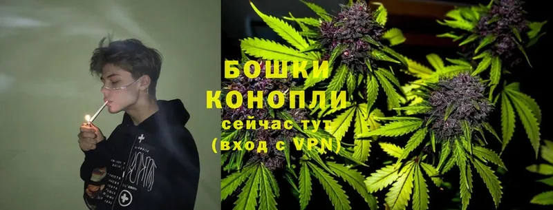 мега ONION  Богородск  Конопля LSD WEED 